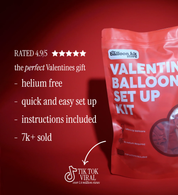 Valentine's Day I Love You Balloon Kit